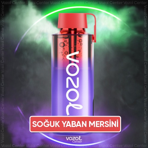 Vozol Neon 10000 Blue Razz İce