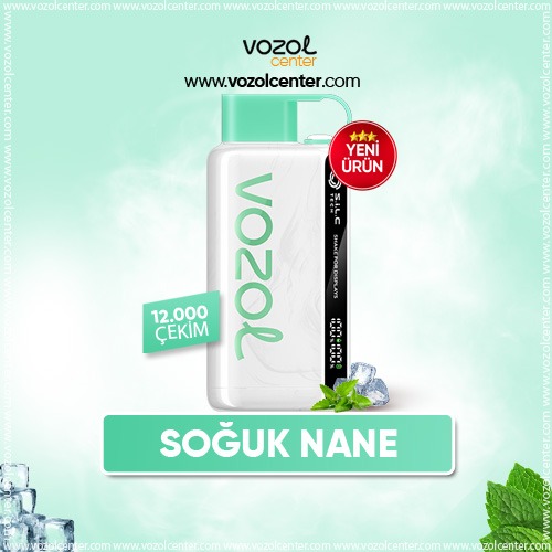 Vozol 12000 Puff Cool Mint