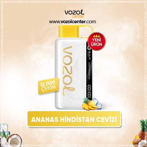 Vozol 12000 Pineapple Coconut Ice