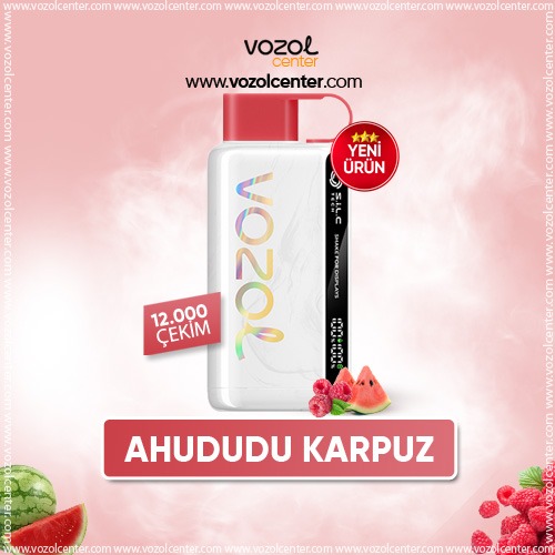 Vozol 12000 Puff Raspberry Watermelon